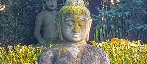 Sonntagsmeditation im Frühling 2019 mit Ulla König – die neuen Termine!