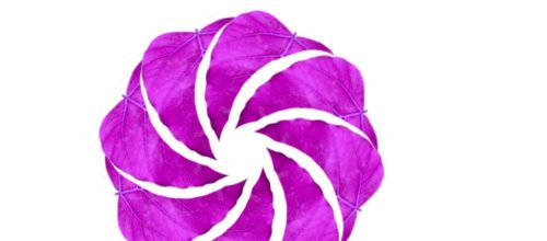 meditation&yoga – der erste Workshop