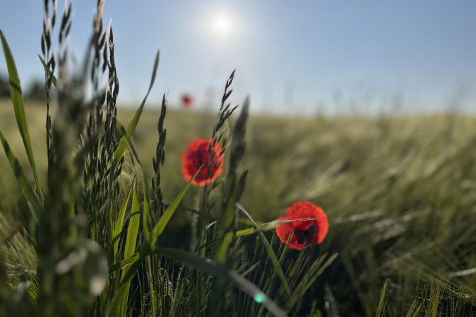 ONLINE_OFFENE KLASSE<br>Hier geht’s zur Anmeldung<br>vorerst Mo. 19:00 – 20:30 Uhr!